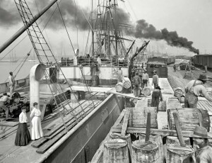 thekumachan_100_year_old_USA_photos-33
