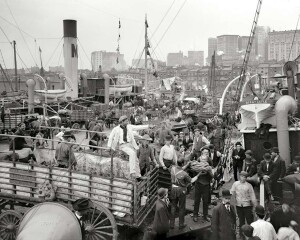 thekumachan_100_year_old_USA_photos-35