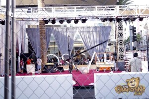 thekumachan_2016_Oscars-0145