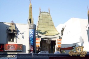 thekumachan_2016_Oscars-0494