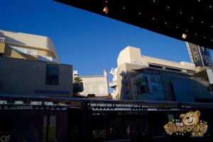 thekumachan_2016_Oscars-0794