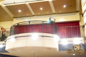 thekumachan_2016_Oscars-1504