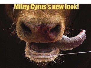 New_Look_Miley_Cyrus