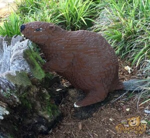 thekumachan_Legoland-06