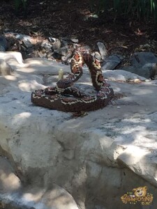 thekumachan_Legoland-09