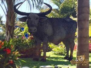 thekumachan_Legoland-15