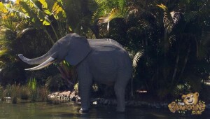 thekumachan_Legoland-16