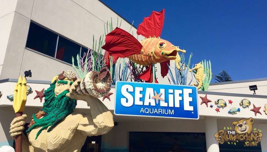 Sea Life Aquarium Carlsbad, California The Kumachan