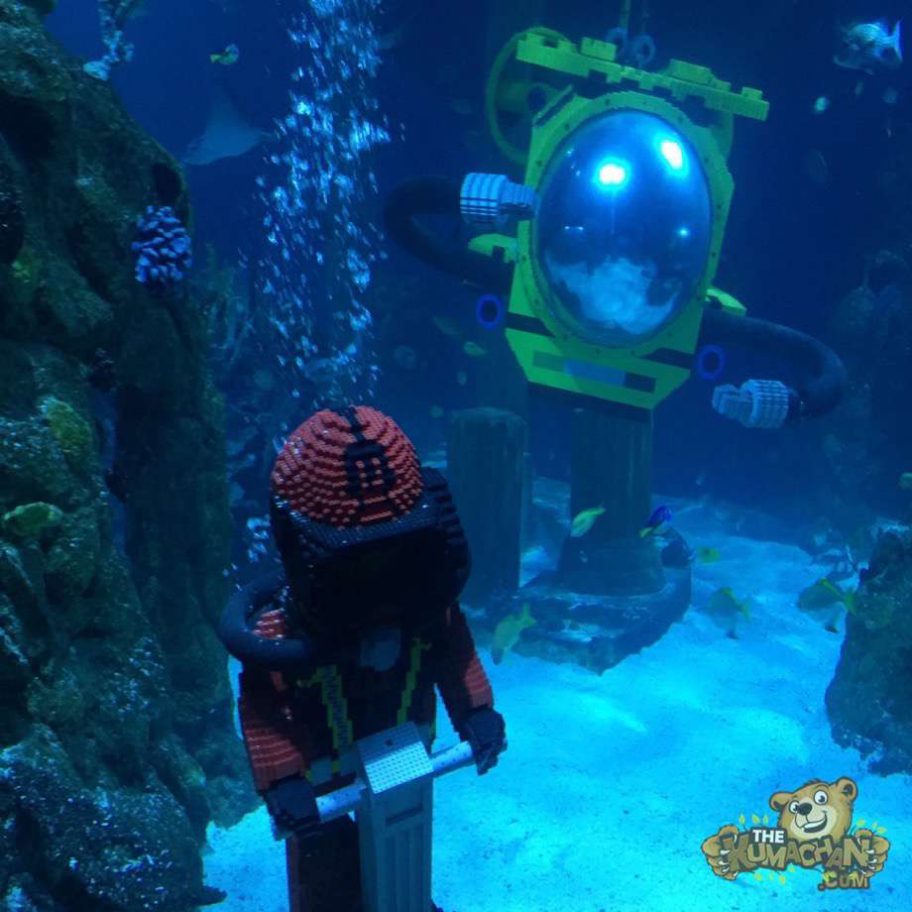 Sea Life Aquarium Carlsbad, California The Kumachan