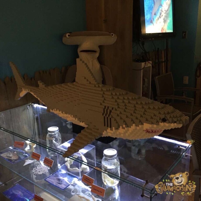 Sea Life Aquarium Carlsbad, California The Kumachan