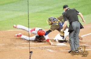 thekumachan_san_diego_padres_game-59