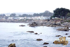 thekumachan_Monterey_California-02