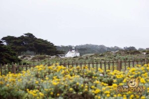 thekumachan_Monterey_California-06