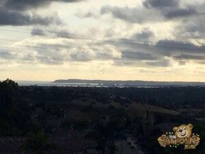 thekumachan_Point_Loma_California-1