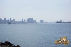 thekumachan_San_Diego-3