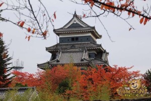 thekumachan_matsumoto_castle-001