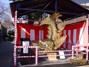 thekumachan_nagoya_castle-03