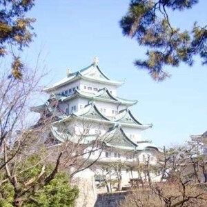 thekumachan_nagoya_castle-04