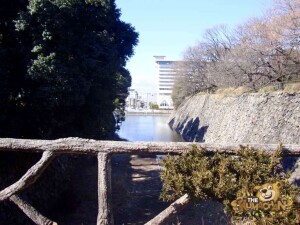 thekumachan_nagoya_castle-07