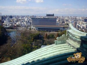 thekumachan_nagoya_castle-51