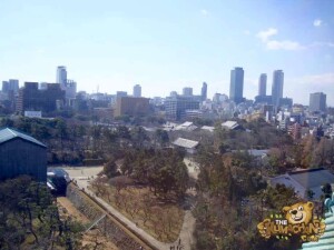 thekumachan_nagoya_castle-52