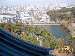 thekumachan_nagoya_castle-54