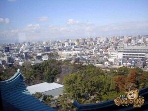 thekumachan_nagoya_castle-55