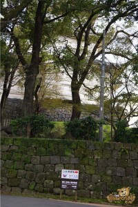 thekumachan_odawara_castle-07