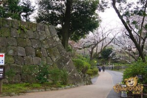 thekumachan_odawara_castle-08