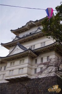 thekumachan_odawara_castle-09