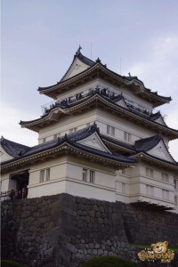 thekumachan_odawara_castle-10