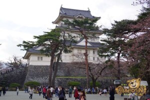 thekumachan_odawara_castle-16