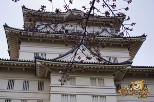 thekumachan_odawara_castle-20