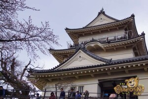 thekumachan_odawara_castle-23