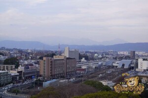 thekumachan_odawara_castle-26