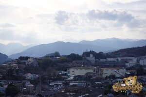 thekumachan_odawara_castle-27