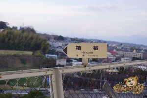 thekumachan_odawara_castle-31