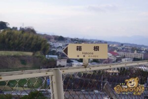 thekumachan_odawara_castle-31