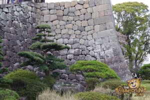 thekumachan_odawara_castle-45