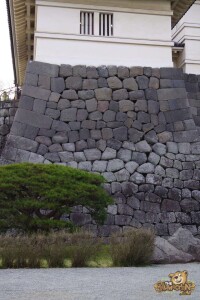 thekumachan_odawara_castle-51