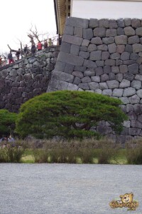 thekumachan_odawara_castle-52