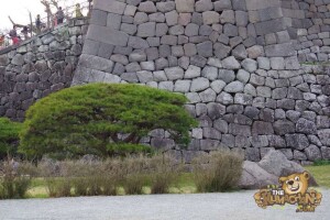 thekumachan_odawara_castle-53