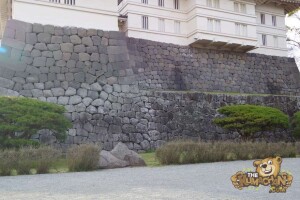 thekumachan_odawara_castle-56