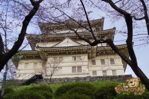 thekumachan_odawara_castle-66