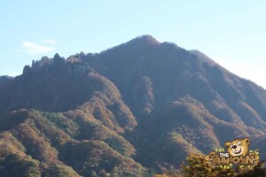 thekumachan_drive_to_nagano-17