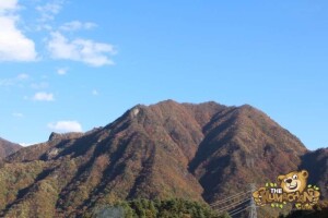 thekumachan_drive_to_nagano-21