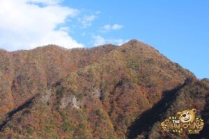 thekumachan_drive_to_nagano-23