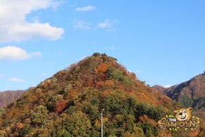 thekumachan_drive_to_nagano-25