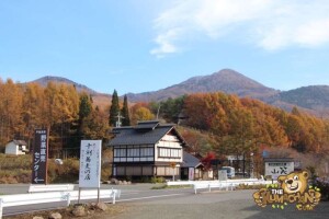 thekumachan_drive_to_nagano-28