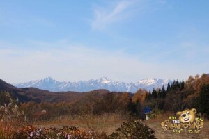 thekumachan_drive_to_nagano-29